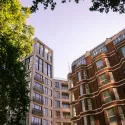 Modern buildings in London's cityscape featuring lush greenery and urban design