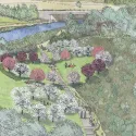 A graphic drawing of Queen Elizabeth Park