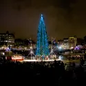 Christmas tree in Trafalgar Square