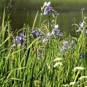 London environment consultation