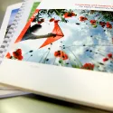 Mayor biodiversity strategy