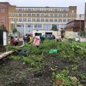 children gardening next to a tower block