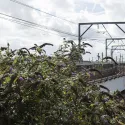 OPDC-train infrastructure