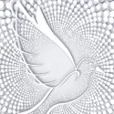 Peace dove