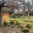Barham Park