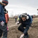 Tree planting in Enfield