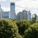 London Urban Forest Partnership