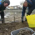 Wet Wipe foreshore clean up