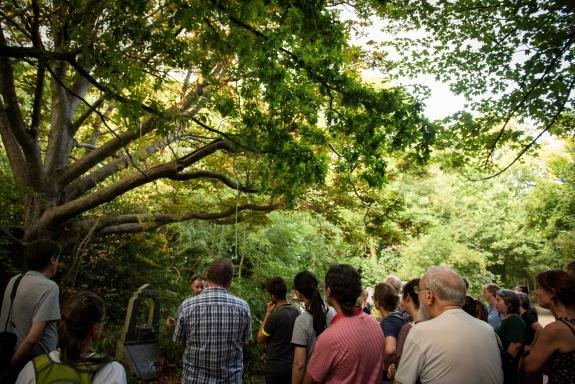 An evening guided tree walk through Abney Park Cemetery nature reserve led by arboriculturalist and ecologist Russell Miller.