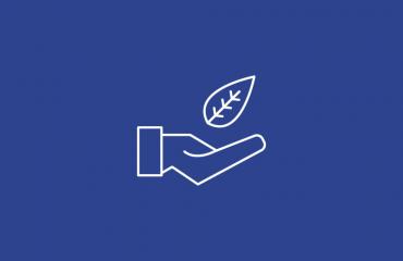 Icon of a hand holding a leaf on a blue background