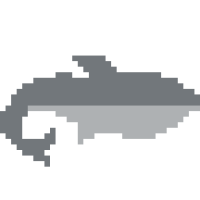 Atlantic cod