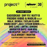 Project 6 Festival