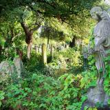 Gardens of Brompton Cemetery 
